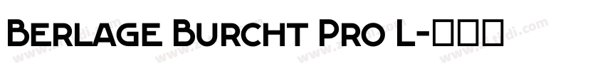 Berlage Burcht Pro L字体转换